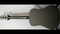 Rainsong SDR1100N2 Sold