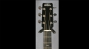 Rainsong WS1000 Sold