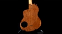 Renaissance RB4FL No longer available