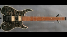 Steinberger GM2 Series Re-Topped Sold