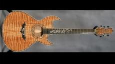 Roman Acoustic Slim AE/DC Sold