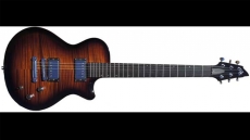 Breedelove Mark IV Sold