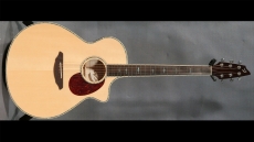 Breedelove Stage J350EF Sold