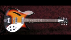 Unknown Brand Semi-Hollow Sold