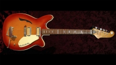 Micro-Frets Covington Sold