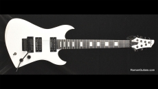 Washburn DD-67 Seven String Owned & Played by Paul Crook (Meatloaf) Sold