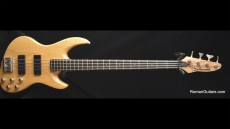 DeArmond Pilot Pro