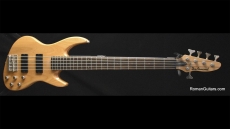 DeArmond Pilot Pro V