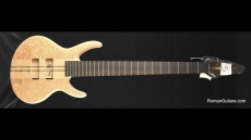 Roman Abstract Mercury 5 Bass Hand Crafted Body Core B-5