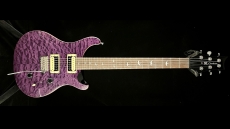 PRS SE Custom 24 Sold