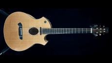 Parker Fly P8EN Sold