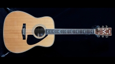Yamaha FG-480S