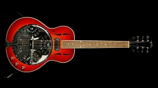 Jay Turser JT-900 Resonator