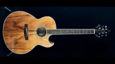 Samick Greg Bennett J-12CE Koa
