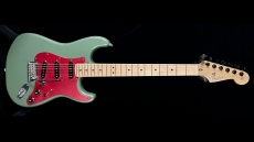 Fender American Professional Maple Fingerboard, Antique Olive Stratocaster