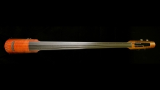 NS Designs NXT4 Double Bass