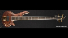 Abstract Caesar Bass