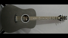 Rainsong SDR1100N2 Sold
