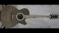 Rainsong WS1000 Sold