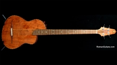 Renaissance RB4FL No longer available